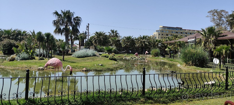 Просто замечательная гостиница!