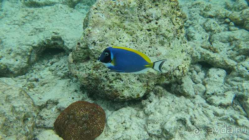  Надеемся вернуться сюда еще раз, но уже с детьми