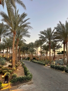 Хорошо, но дорого