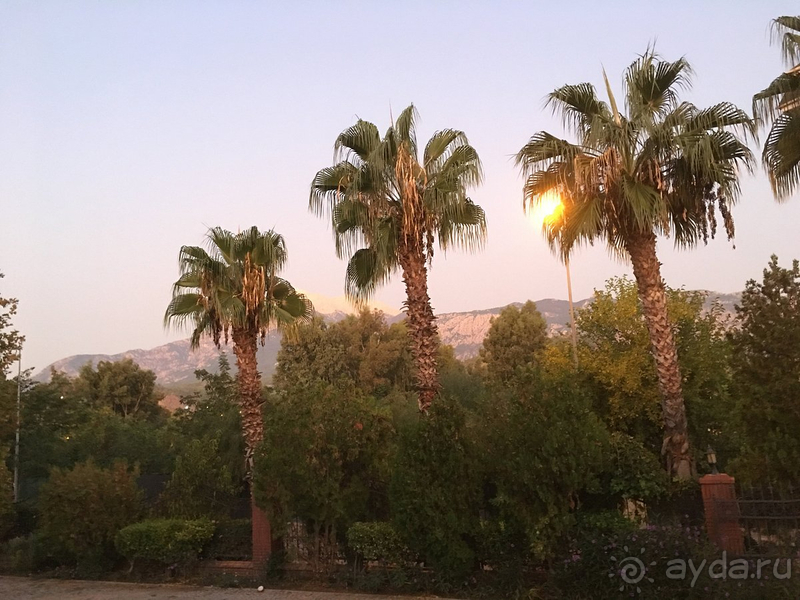 Очень неплохо Очень неплохо