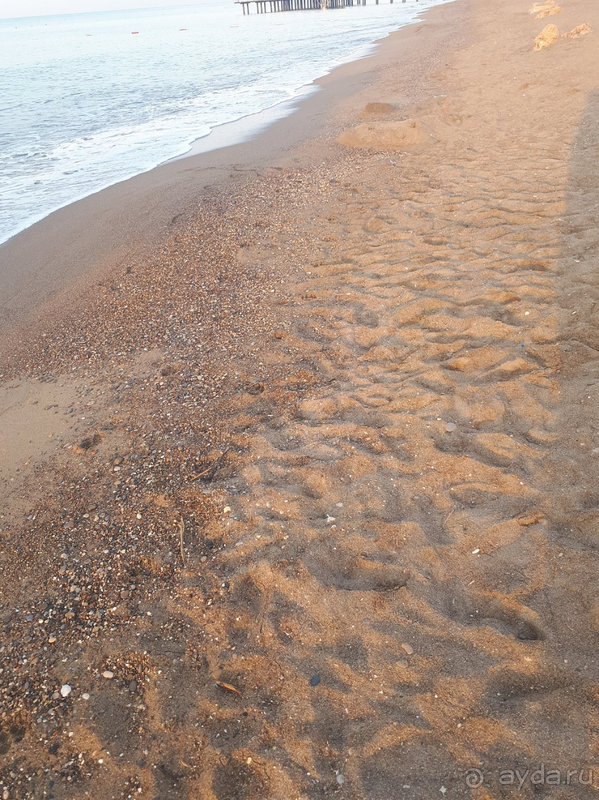 Неплохо отдохнули