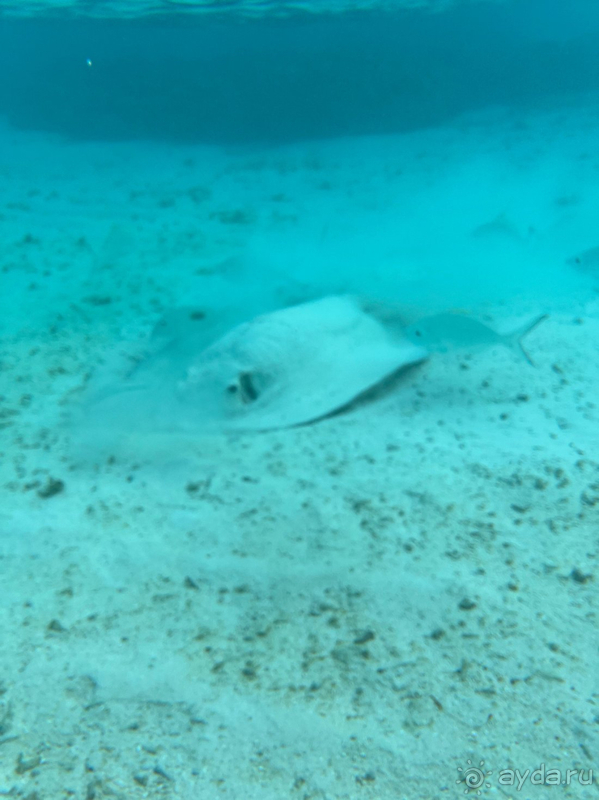 Прекрасный райский отель как и для семьи с детьми, так и для влюблённых