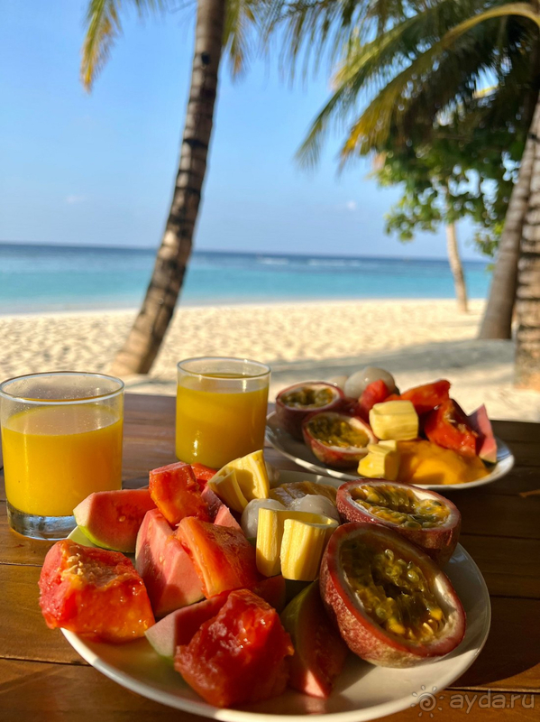 фото Movenpick Resort Kuredhivaru Maldives