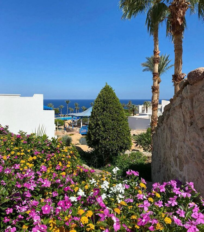 Лучший отдых! Лучший отдых!