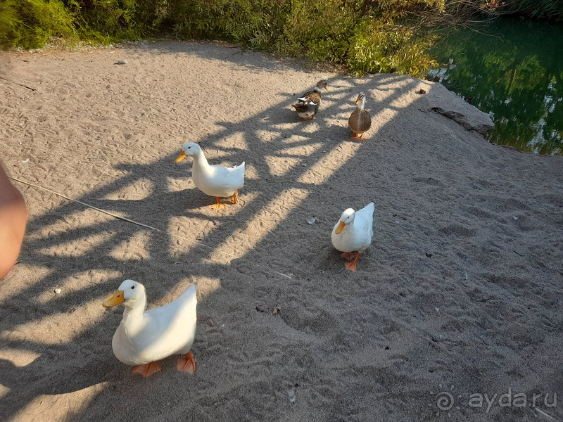 Особенно советую для семей с детьми!
