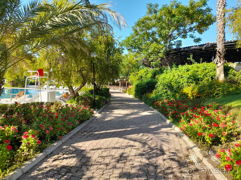 Особенно советую для семей с детьми!