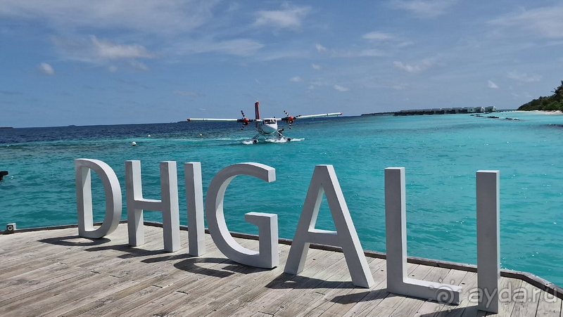 Хочется вернуться вновь