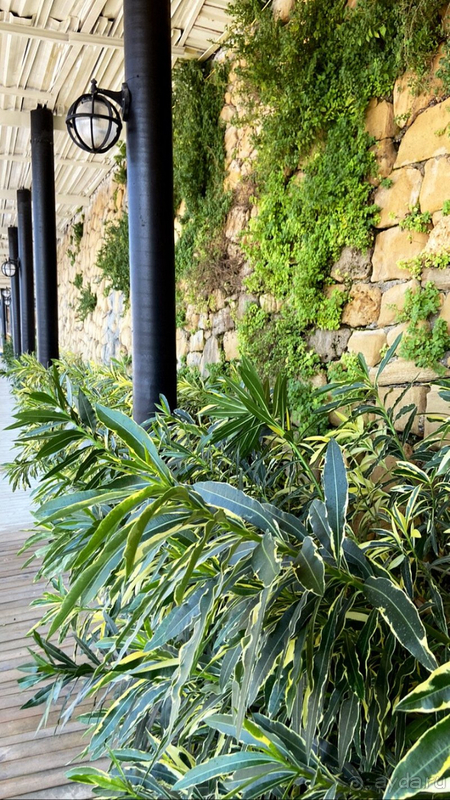 Отдых в Турции