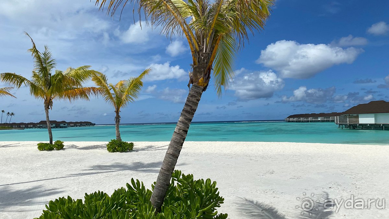 Хороший отель на Мальдивах 