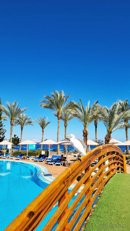 Если закрыть глаза на недочёты, то ехать можно