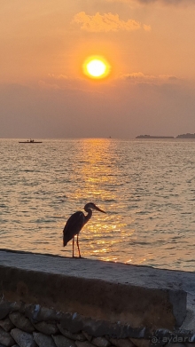 Это был чудесный отп­уск!