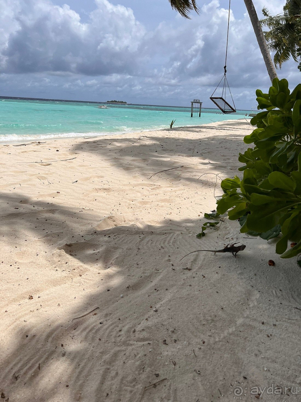 Не так хорошо, как мы ожидали