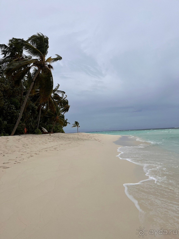 Не так хорошо, как мы ожидали