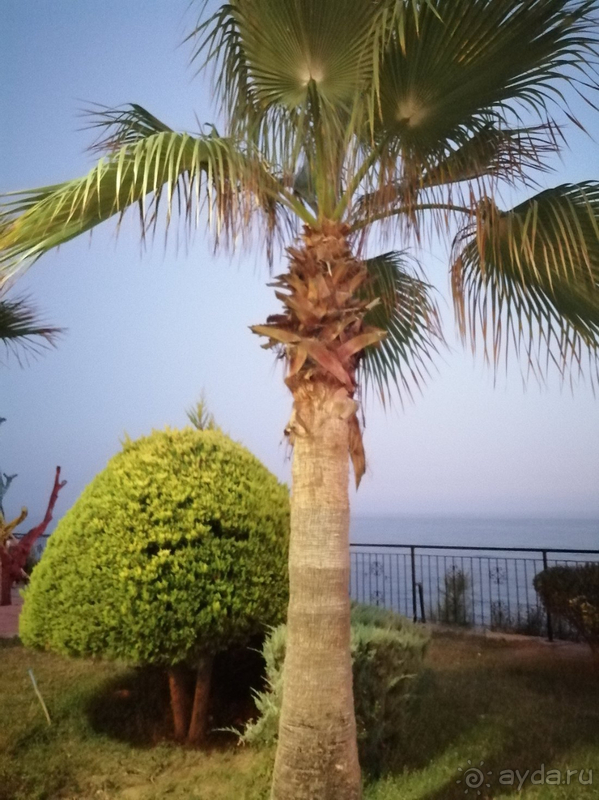  К самому отелю претензий нет, рекомендую!