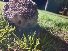 Отличный майский отдых