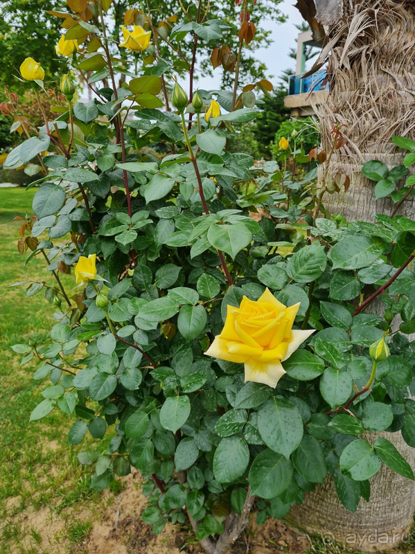 Отличный майский отдых