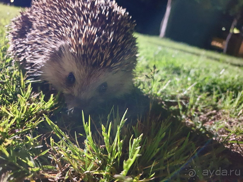 Отличный майский отдых