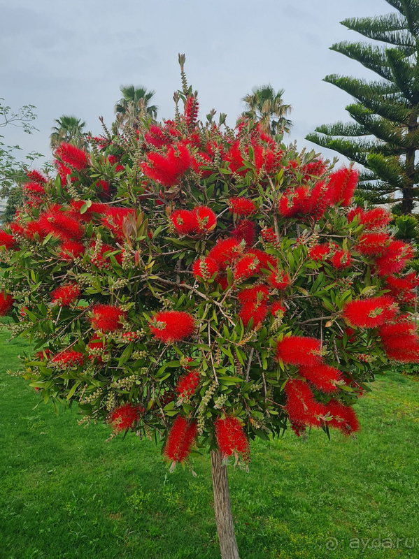 Отличный майский отдых