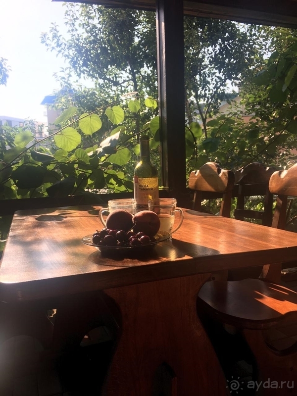 Чудесный отдых в Сочи