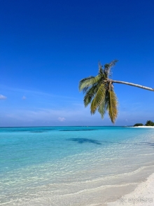 Sun Island Resort & Spa