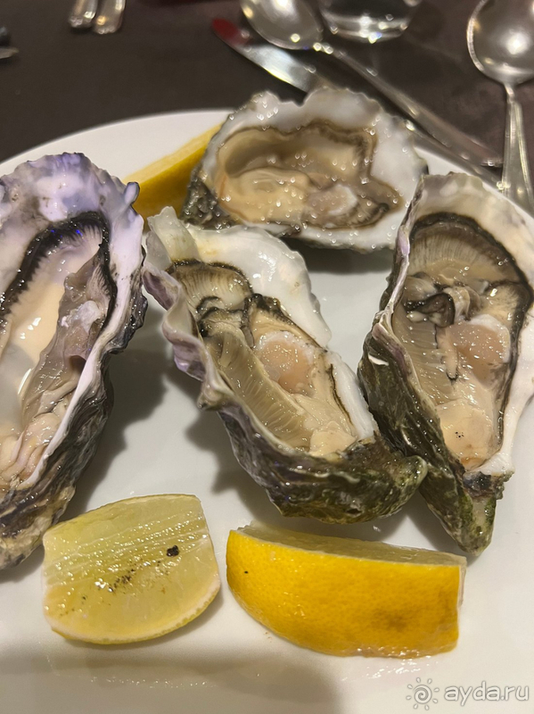 Sun Island Resort & Spa