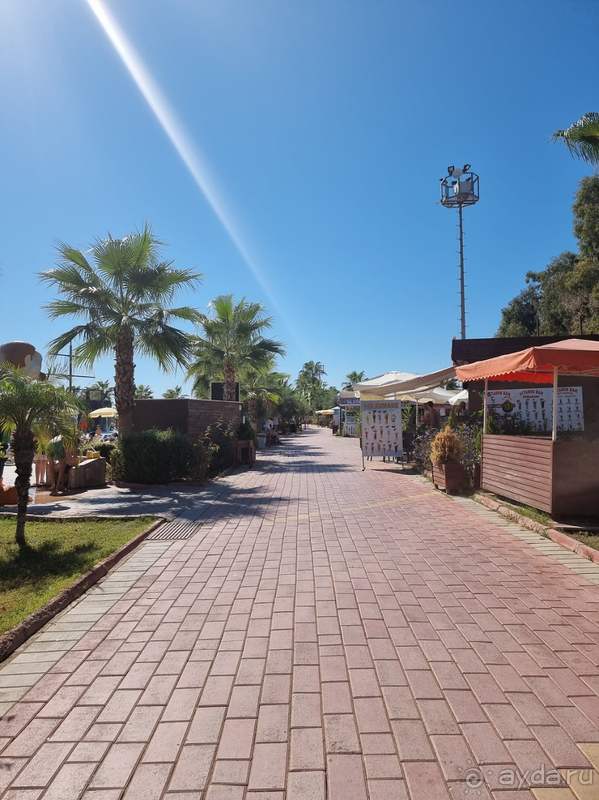 Вернулись бы ещё- ответ да.