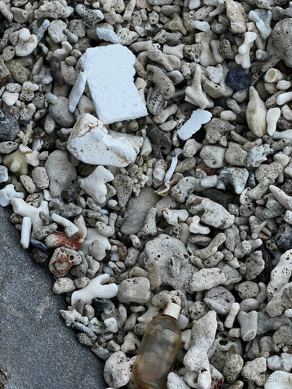 Мальдивы - это рай? Как бы не так!