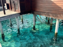 Мальдивы - это рай? Как бы не так!