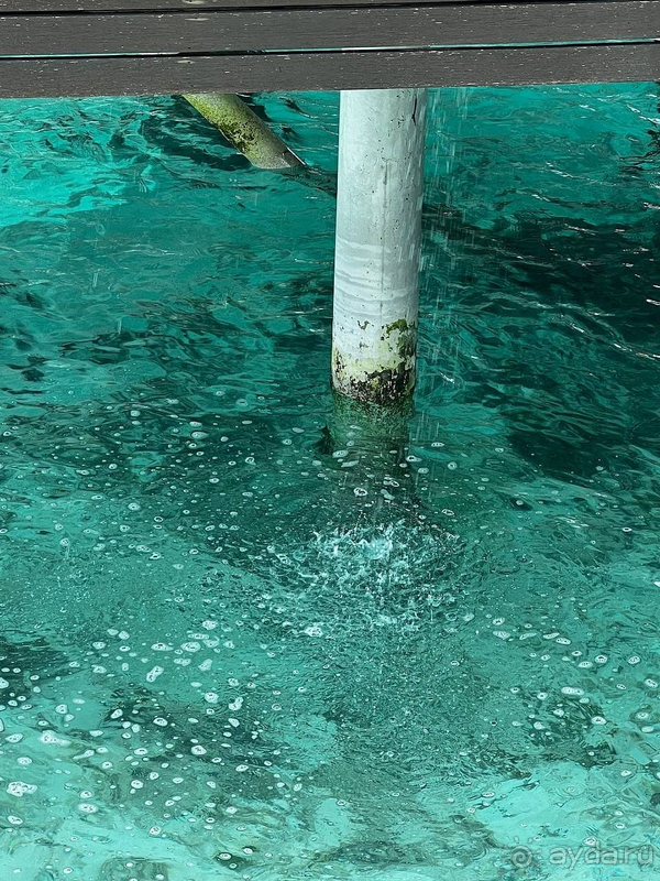 Мальдивы - это рай? Как бы не так!