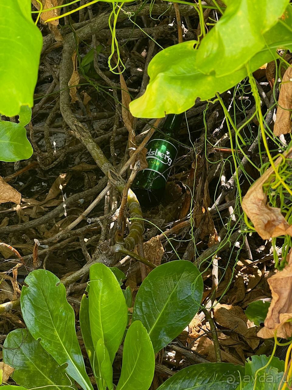 Мальдивы - это рай? Как бы не так!