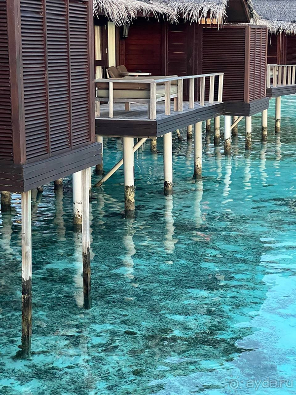 Мальдивы - это рай? Как бы не так!