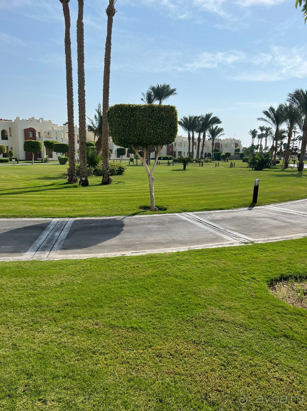 Отличный отдых в Египте