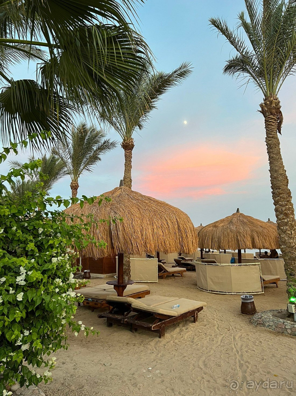 Отличный отдых в Египте