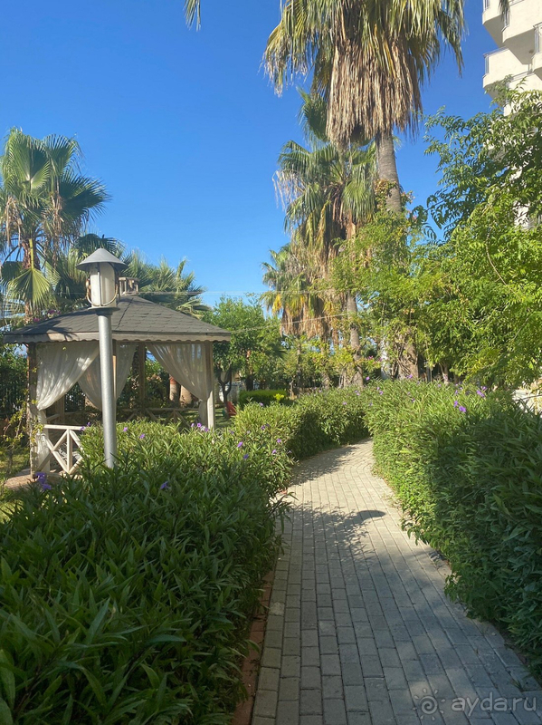 Неплохой отель