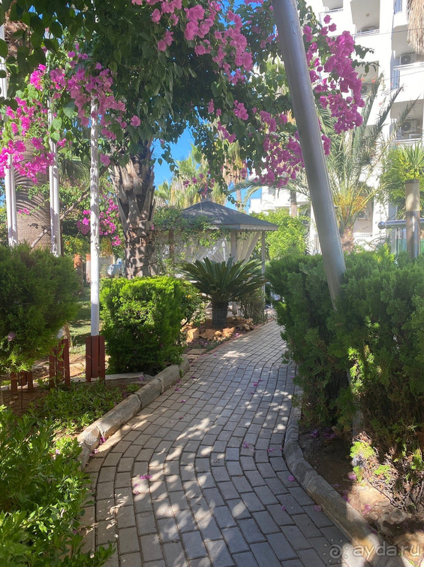 Неплохой отель