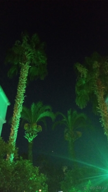 Отель Anita Dream Hotel