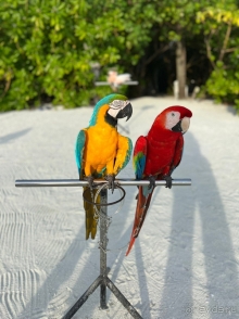 Отдыхом остались довольны и взрослые, и дети