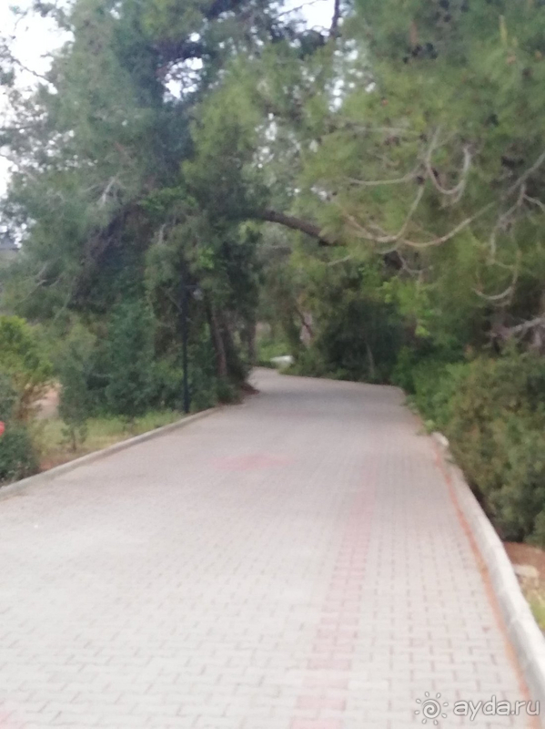 Про наш чудесный отдых. Про наш чудесный отдых.