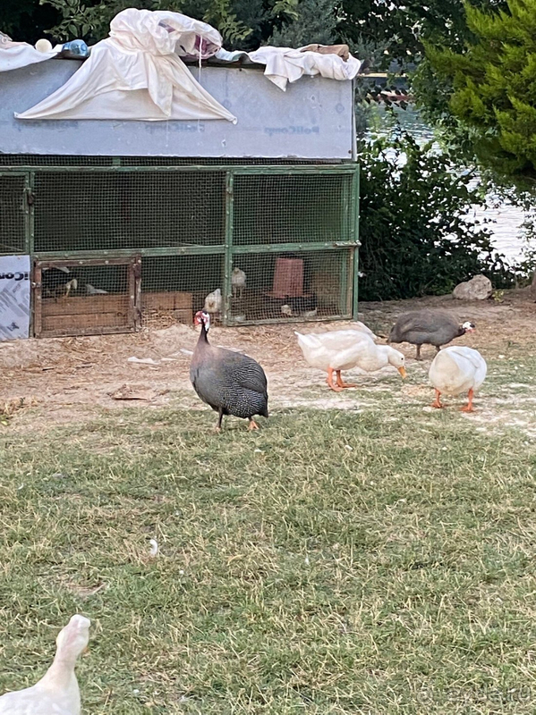 Отель рекомендую!