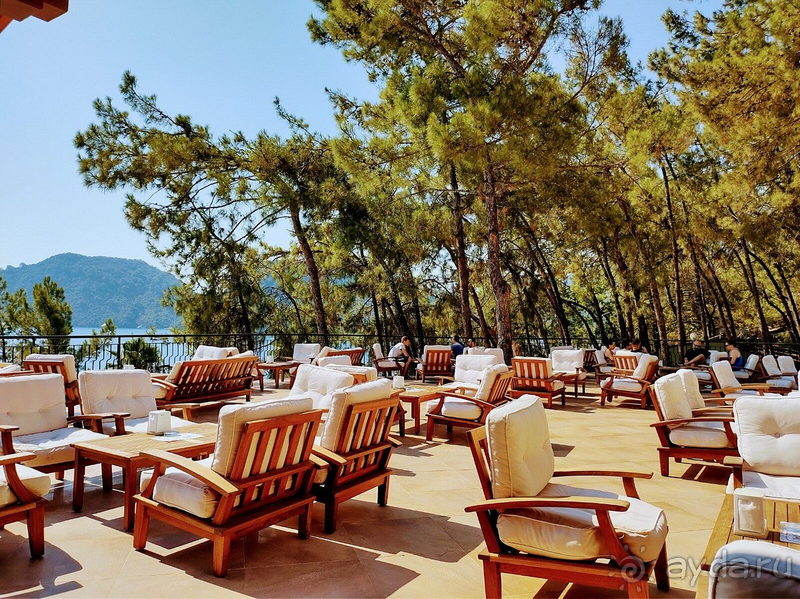 Отель неплохой Отель неплохой