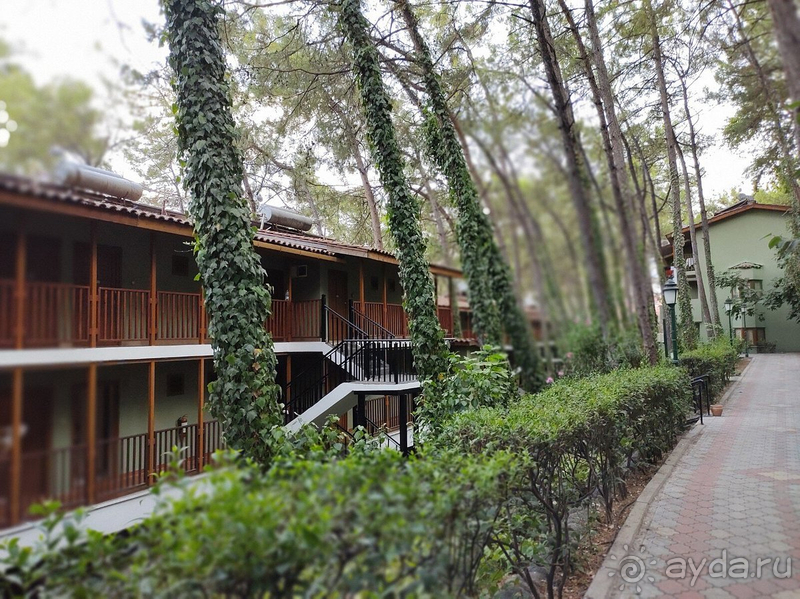 Отель неплохой