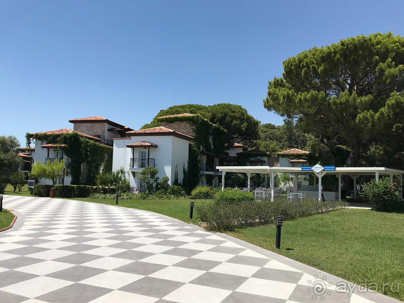 Отличное место, вернулись бы ещё ❤️