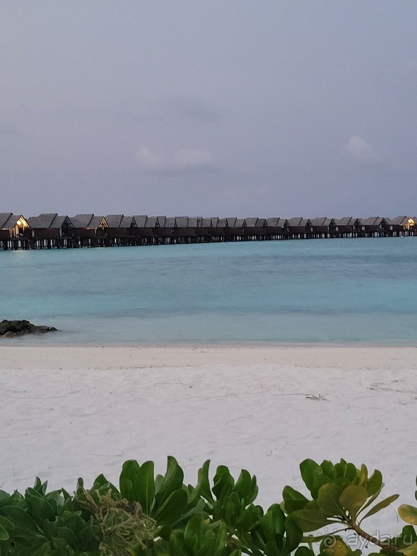 Больше в этот отель мы не поедем. 