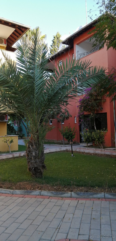 Обязательно вернемся в этот отель!