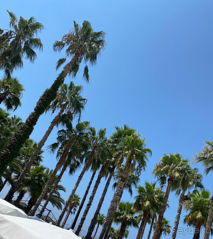 Отдых в Meryan Hotel