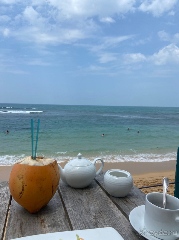 Отличный отель на Шри-Ланке!