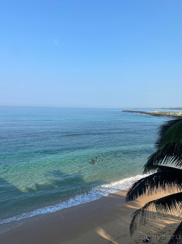 Отличный отель на Шри-Ланке!