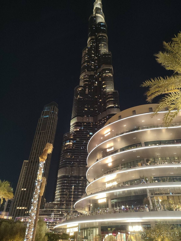 Отлично отдохнули в Шардже