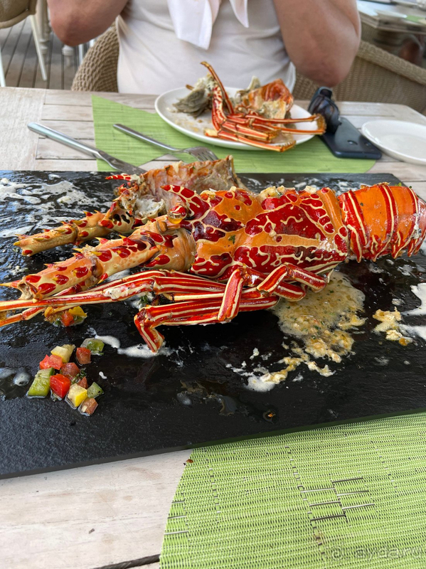 Отель новый, этим все сказано.