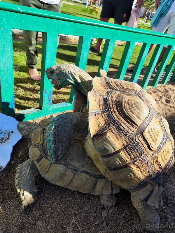 Общее впечатление от отеля - добротный, но уставший